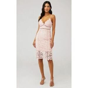 Bardot Botanica Lace Dress Womens Size 6 Pink Sleeveless Sheath Dress Wedding